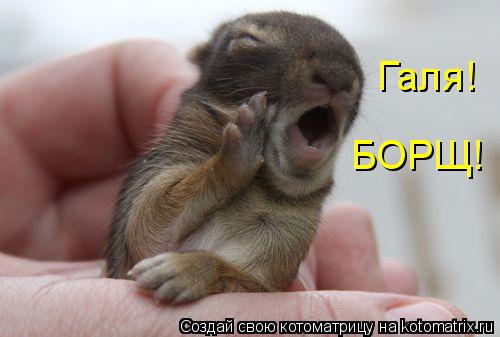 Котоматрица: Галя! БОРЩ!