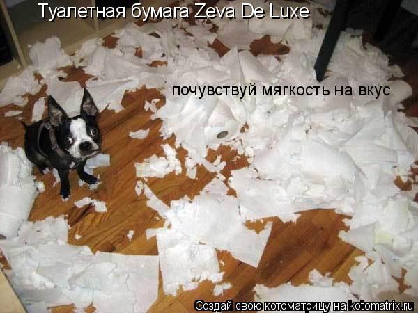 Котоматрица: Туалетная бумага Zeva De Luxe почувствуй мягкость на вкус