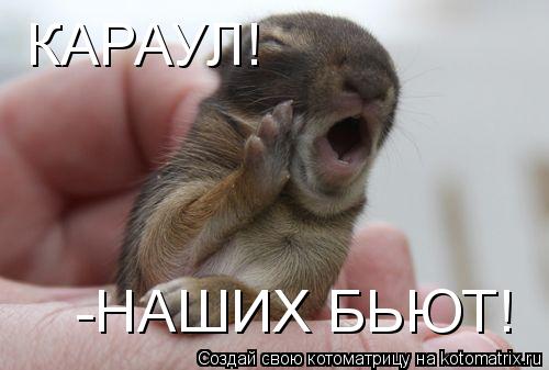 Котоматрица: КАРАУЛ! -НАШИХ БЬЮТ!