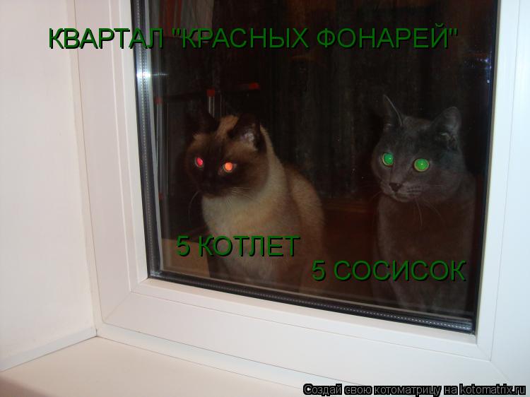Котоматрица: КВАРТАЛ "КРАСНЫХ ФОНАРЕЙ" 5 КОТЛЕТ 5 СОСИСОК