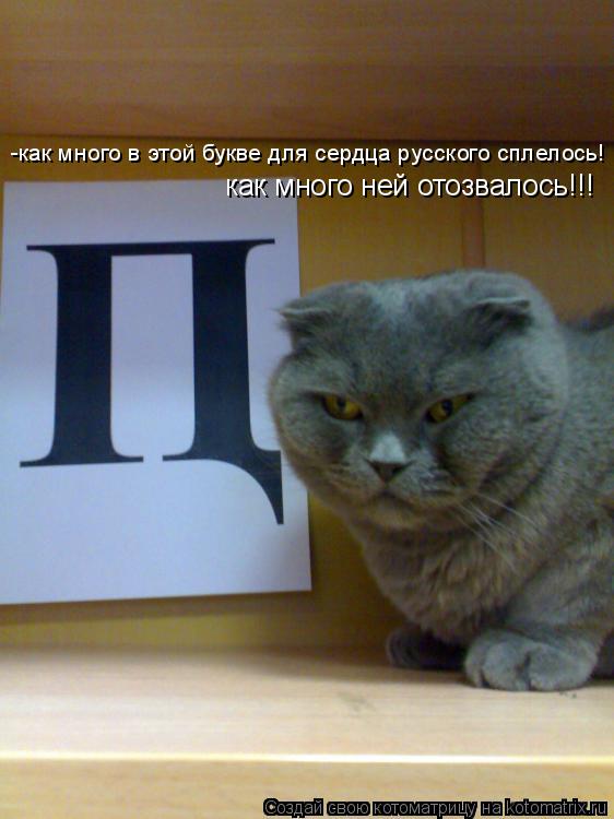 Котоматрица: -как много в этой букве для сердца русского сплелось! как много ней отозвалось!!!