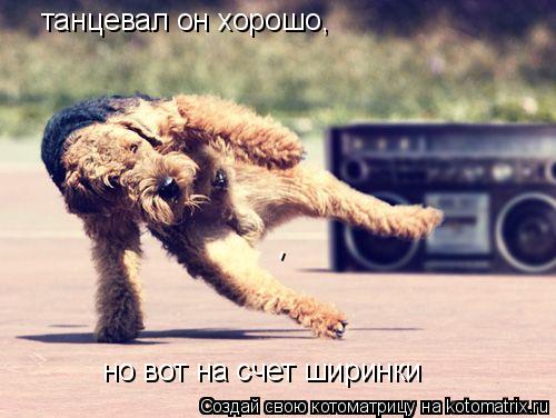 Котоматрица: танцевал он хорошо, но вот на счет ширинки -