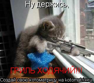 Котоматрица: Ну держись, ГРИЛЬ ХОДЯЧИЙ!!!