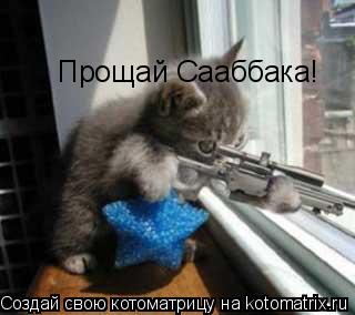 Котоматрица: Прощай Сааббака!