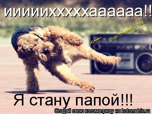 Котоматрица: ииииихххххаааааа!!! Я стану папой!!! Счастливый отец <----