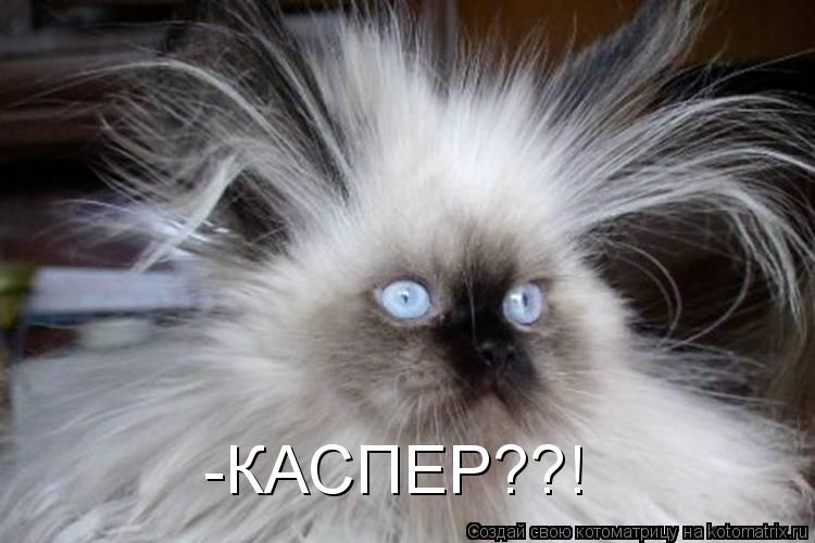 Котоматрица: -КАСПЕР??!
