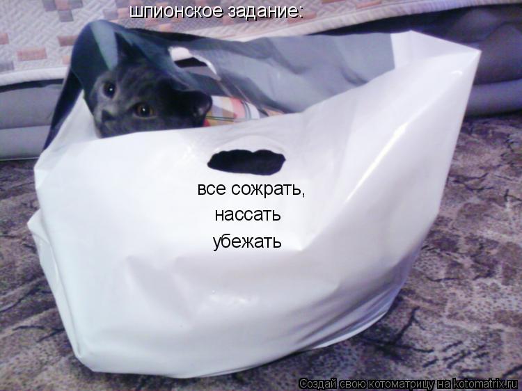 Котоматрица: шпионское задание: все сожрать, нассать убежать