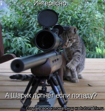 Котоматрица: Интересно, А Шарик лопнет если попаду?