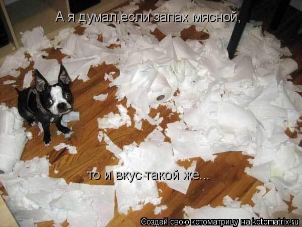 А я думал,если запах мясной, то и вкус такой же...... Котоматрица: А я думал,если запах мясной, то и вкус такой же...