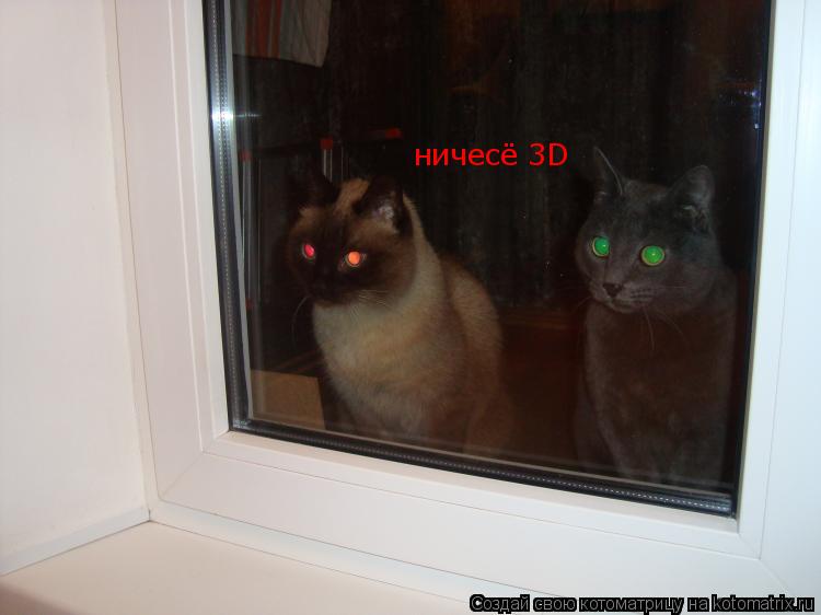 Котоматрица: ничесё 3D