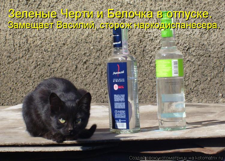 Зеленые Черти и Белочка в отпуске. Замещает Василий, сторож наркодиспанесера.... Котоматрица: Зеленые Черти и Белочка в отпуске. Замещает Василий, сторож наркодиспанесера.
