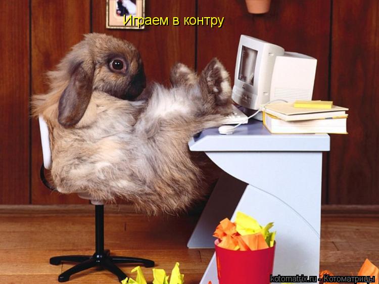 Играем в контру... Котоматрица: Играем в контру