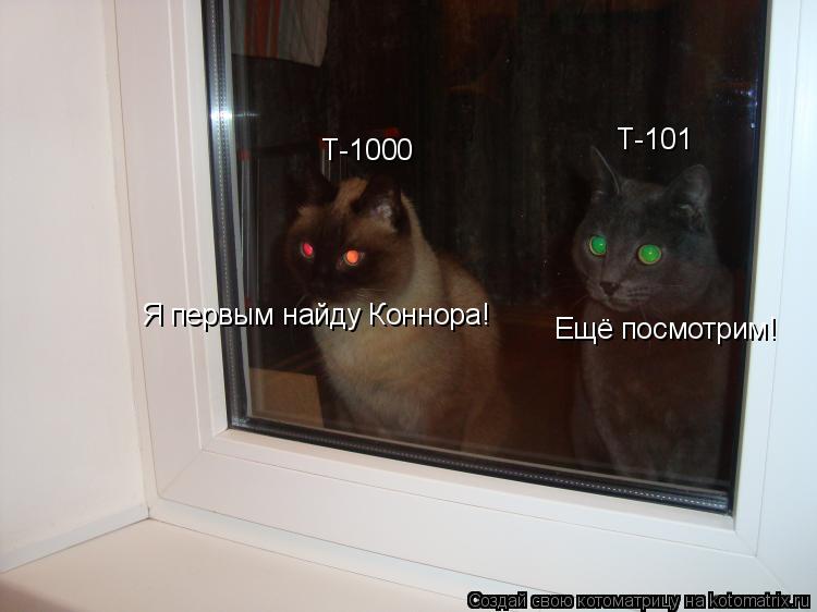 Т-101 Т-1000 Я первым найду Коннора! Ещё посмотрим!... Котоматрица: Т-101 Т-1000 Я первым найду Коннора! Ещё посмотрим!