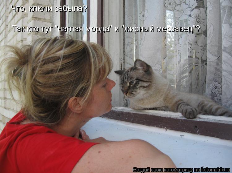 Что, ключи забыла? Так кто тут "наглая морда" и "жирный мерзавец"?... Котоматрица: Что, ключи забыла? Так кто тут "наглая морда" и "жирный мерзавец"?