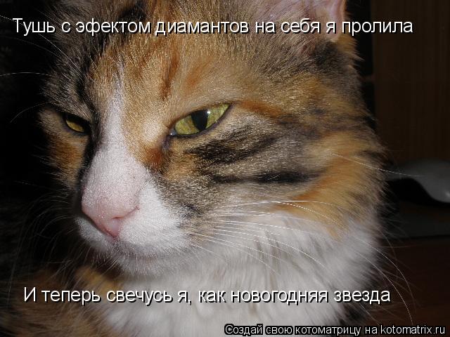 Котоматрица: Тушь с эфектом диамантов на себя я пролила И теперь свечусь я, как новогодняя звезда