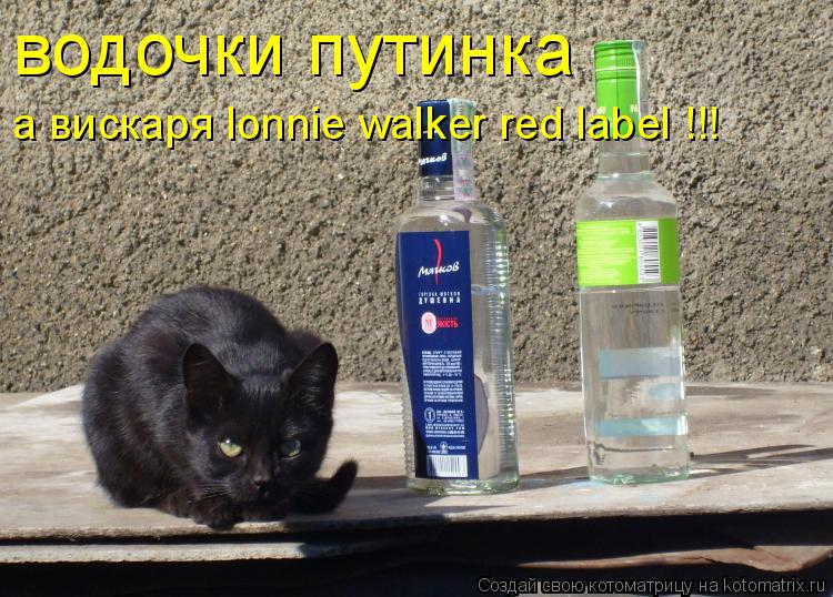 Котоматрица: водочки путинка а вискаря lonnie walker red label !!!