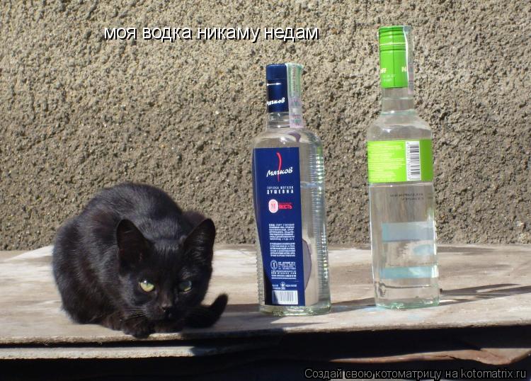 Котоматрица: моя водка никаму недам