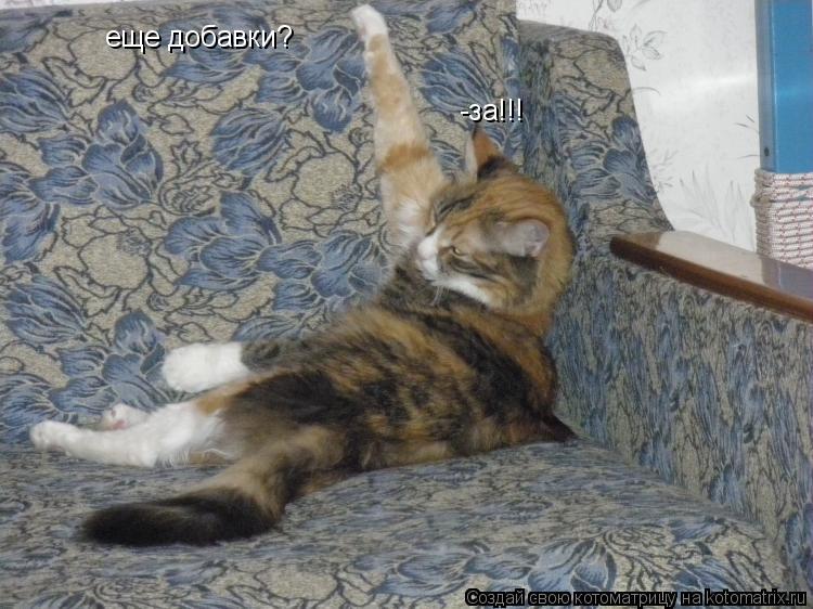 Котоматрица: -за!!! еще добавки?