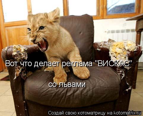 Котоматрица: Вот что делает реклама "ВИСКАС" со львами
