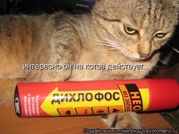 Котоматрица: интересно он на котов действует...