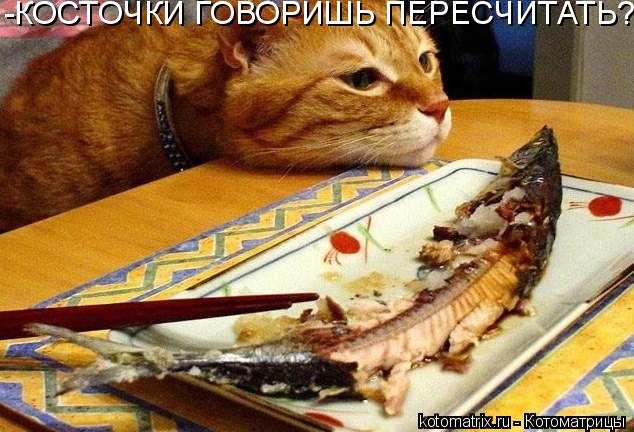 Котоматрица: -КОСТОЧКИ ГОВОРИШЬ ПЕРЕСЧИТАТЬ??!