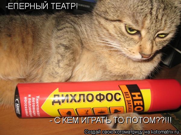 Котоматрица: - С КЕМ ИГРАТЬ ТО ПОТОМ??!!! -ЕПЕРНЫЙ ТЕАТР!