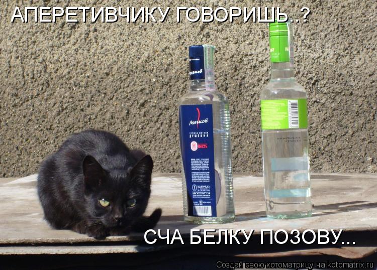 Котоматрица: СЧА БЕЛКУ ПОЗОВУ... АПЕРЕТИВЧИКУ ГОВОРИШЬ..?