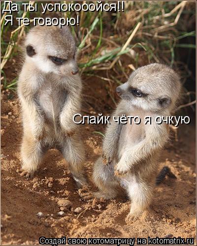 Котоматрица: Да ты успокооойся!! Я те говорю! Слайк чёто я очкую