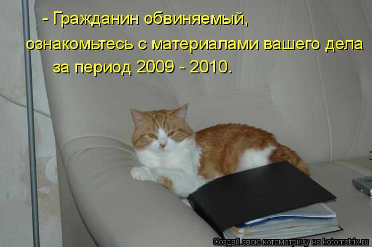 Котоматрица: - Гражданин обвиняемый, ознакомьтесь с материалами вашего дела за период 2009 - 2010.