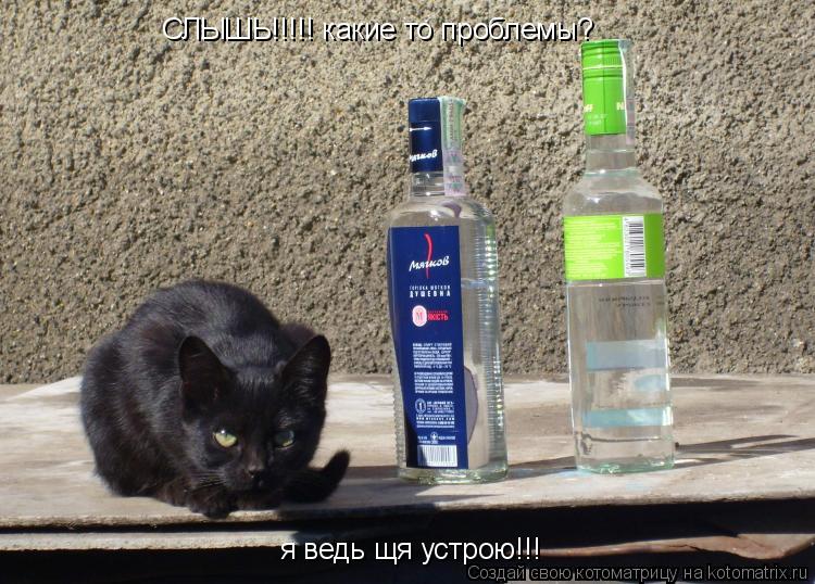 СЛЫШЬ!!!!! какие то проблемы? я ведь щя устрою!!!... Котоматрица: СЛЫШЬ!!!!! какие то проблемы? я ведь щя устрою!!!