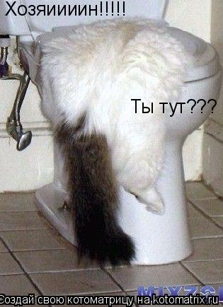 Хозяиииин!!!!! Ты тут???... Котоматрица: Хозяиииин!!!!! Ты тут???
