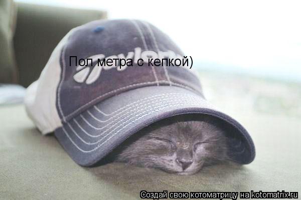 Пол метра с кепкой)... Котоматрица: Пол метра с кепкой)