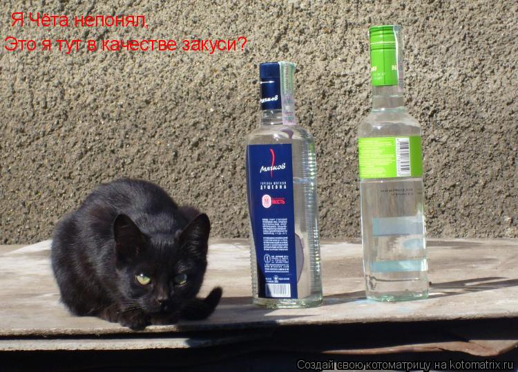 Я Чёта непонял, Это я тут в качестве закуси?... Котоматрица: Я Чёта непонял, Это я тут в качестве закуси?