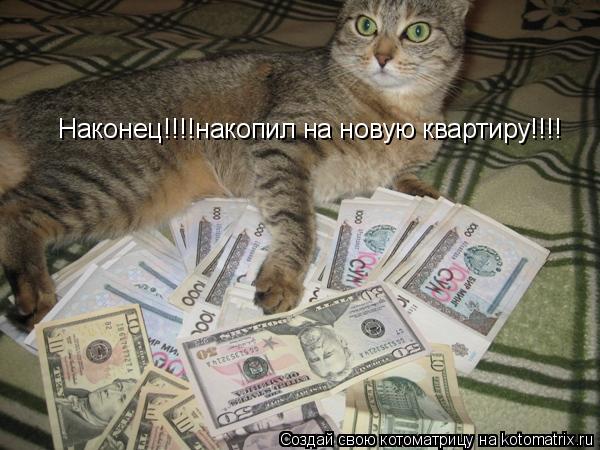 Наконец!!!!накопил на новую квартиру!!!!... Котоматрица: Наконец!!!!накопил на новую квартиру!!!!