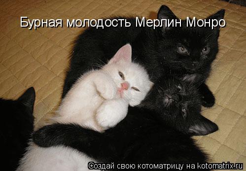 Бурная молодость Мерлин Монро... Котоматрица: Бурная молодость Мерлин Монро