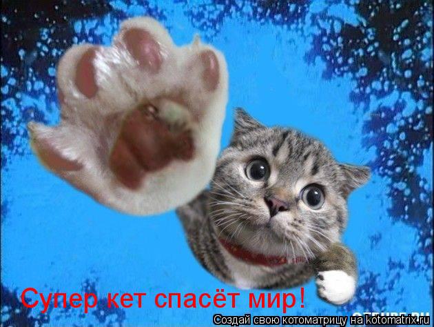 Супер кет спасёт мир! Супер кет спасёт мир!... Котоматрица: Супер кет спасёт мир! Супер кет спасёт мир!