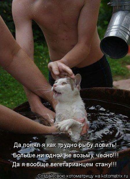 Да понял я как трудно рыбу ловить! Больше ни одной не возьму, чесно!!! Да я вообще вегетарианцем стан... Котоматрица: Да понял я как трудно рыбу ловить! Больше ни одной не возьму, чесно!!! Да я вообще вегетарианцем стану!!!