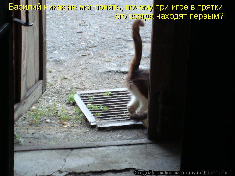 Василий никак не мог понять, почему при игре в прятки его всегда находят первым?!... Котоматрица: Василий никак не мог понять, почему при игре в прятки его всегда находят первым?!