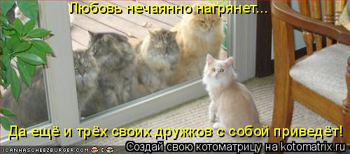 Любовь нечаянно нагрянет... Да ещё и трёх своих дружков с собой приведёт!... Котоматрица: Любовь нечаянно нагрянет... Да ещё и трёх своих дружков с собой приведёт!