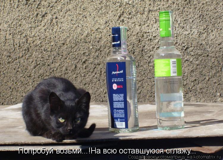 Попробуй возьми...!На всю оставшуюся сглажу...... Котоматрица: Попробуй возьми...!На всю оставшуюся сглажу...