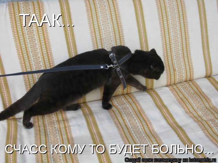 ТААК... СЧАСС КОМУ ТО БУДЕТ БОЛЬНО...... Котоматрица: ТААК... СЧАСС КОМУ ТО БУДЕТ БОЛЬНО...