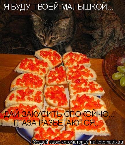 Я БУДУ ТВОЕЙ МАЛЫШКОЙ... ДАЙ ЗАКУСИТЬ СПОКОЙНО... ГЛАЗА РАЗБЕГАЮТСЯ...... Котоматрица: Я БУДУ ТВОЕЙ МАЛЫШКОЙ... ДАЙ ЗАКУСИТЬ СПОКОЙНО... ГЛАЗА РАЗБЕГАЮТСЯ...