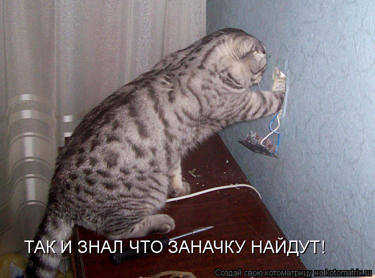 ТАК И ЗНАЛ ЧТО ЗАНАЧКУ НАЙДУТ!... Котоматрица: ТАК И ЗНАЛ ЧТО ЗАНАЧКУ НАЙДУТ!