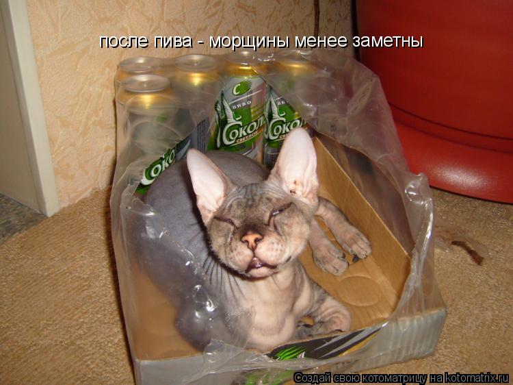 после пива - морщины менее заметны... Котоматрица: после пива - морщины менее заметны
