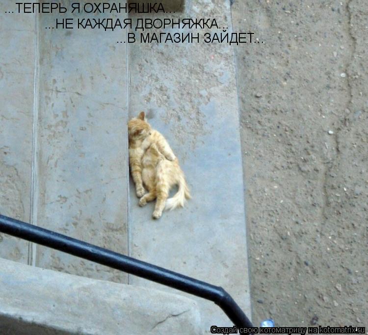...НЕ КАЖДАЯ ДВОРНЯЖКА... ...ТЕПЕРЬ Я ОХРАНЯШКА... ...В МАГАЗИН ЗАЙДЕТ...... Котоматрица: ...НЕ КАЖДАЯ ДВОРНЯЖКА... ...ТЕПЕРЬ Я ОХРАНЯШКА... ...В МАГАЗИН ЗАЙДЕТ...
