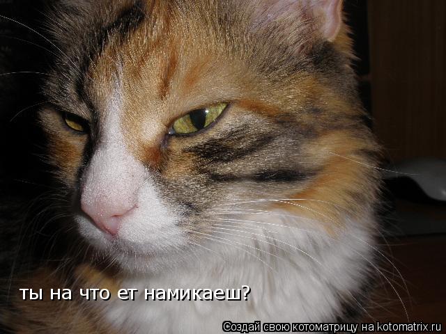 ты на что ет намикаеш?... Котоматрица: ты на что ет намикаеш?