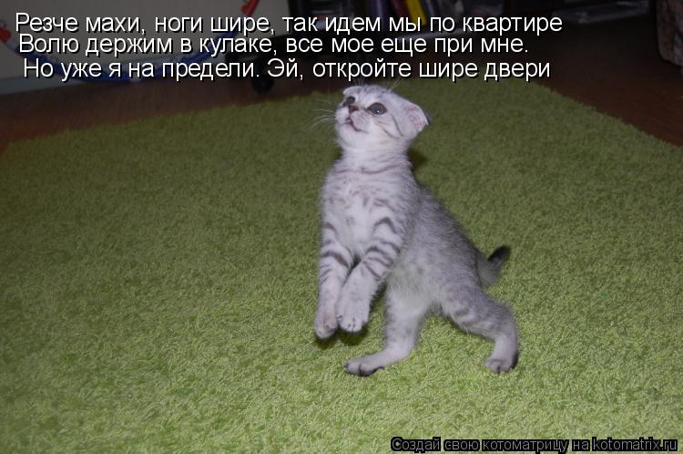 Резче махи, ноги шире, так идем мы по квартире Волю держим в кулаке, все мое еще при мне. Но уже я на... Котоматрица: Резче махи, ноги шире, так идем мы по квартире Волю держим в кулаке, все мое еще при мне. Но уже я на предели. Эй, откройте шире двери