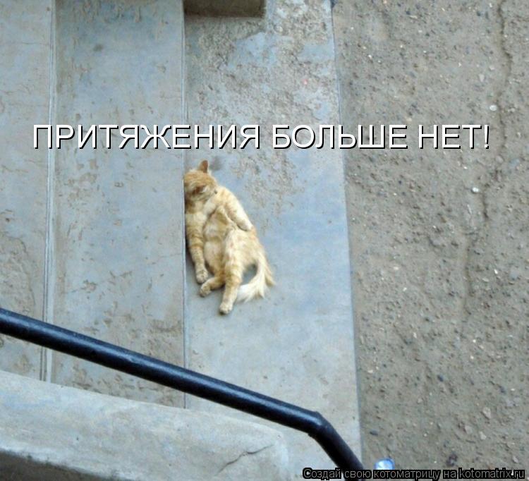 ПРИТЯЖЕНИЯ БОЛЬШЕ НЕТ!... Котоматрица: ПРИТЯЖЕНИЯ БОЛЬШЕ НЕТ!