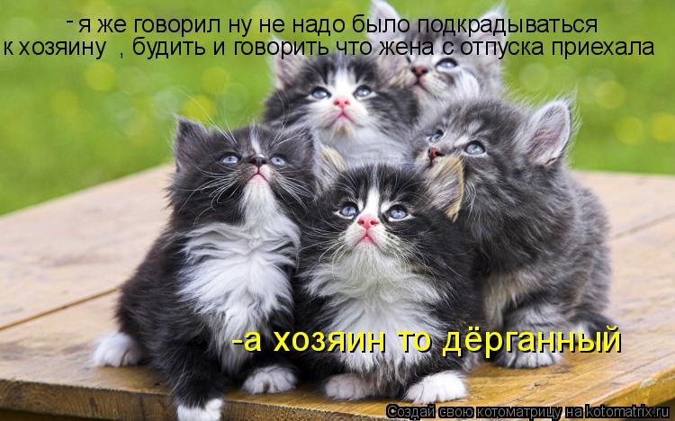 я же говорил ну не надо было подкрадываться к хозяину , будить и говорить что жена с отпуска приехал... Котоматрица: я же говорил ну не надо было подкрадываться к хозяину , будить и говорить что жена с отпуска приехала -а хозяин то дёрганный -