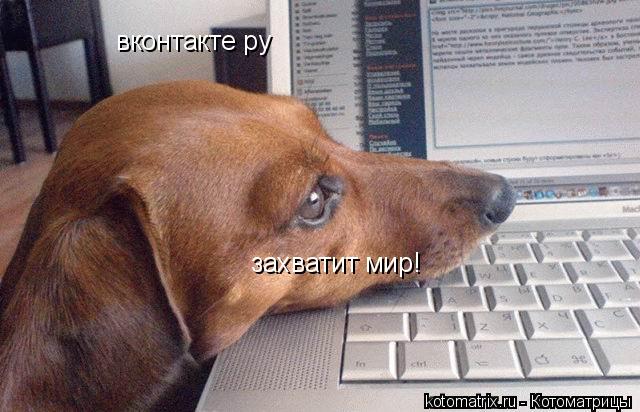 вконтакте ру захватит мир!... Котоматрица: вконтакте ру захватит мир!